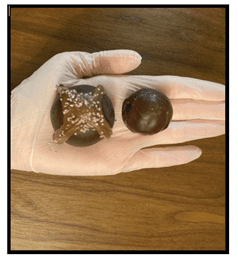 picture1 -A Chocolate Cafe
